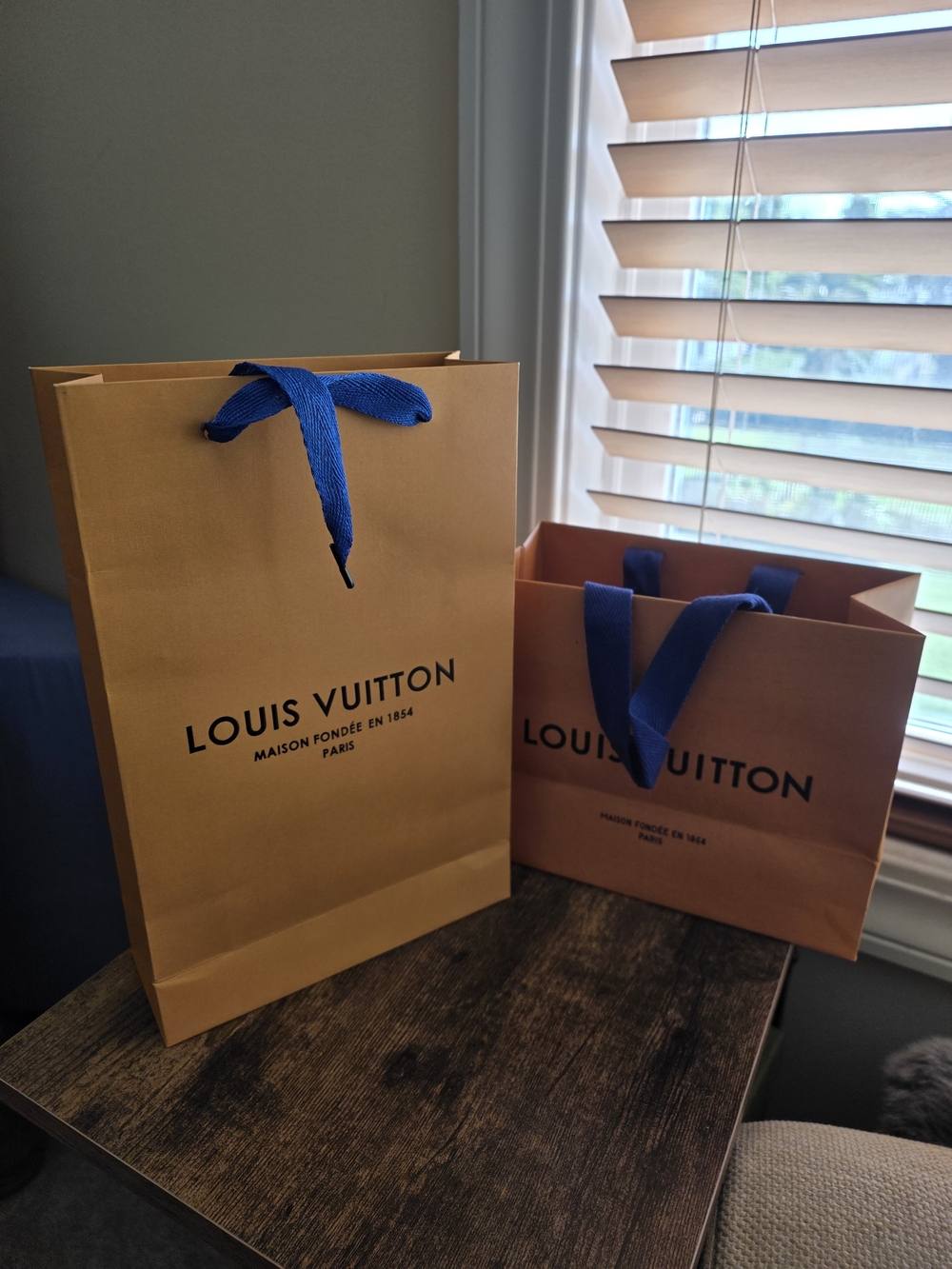 Louis Vuitton Gift Boxes, Bags, Ribbons Bundle - Picture 4 of 7